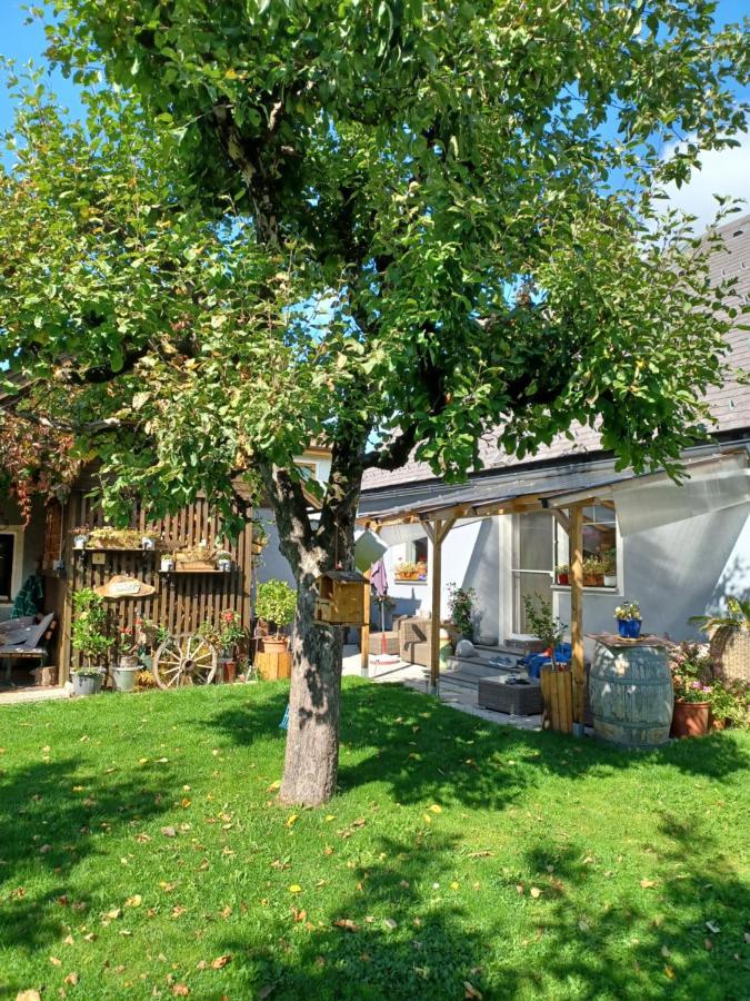 טאמסווג Ferienhaus Tuechler מראה חיצוני תמונה