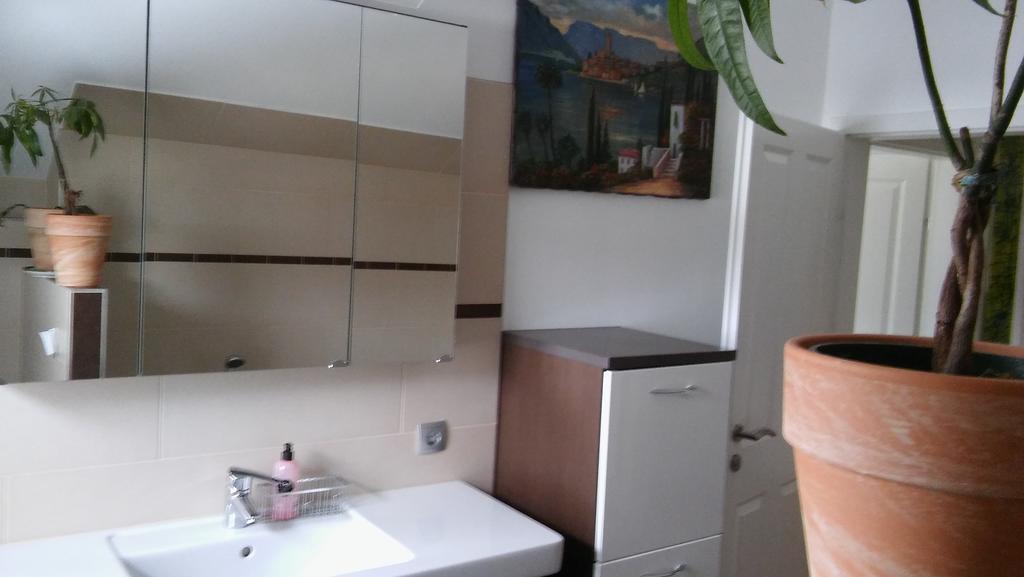 טאמסווג Ferienhaus Tuechler מראה חיצוני תמונה